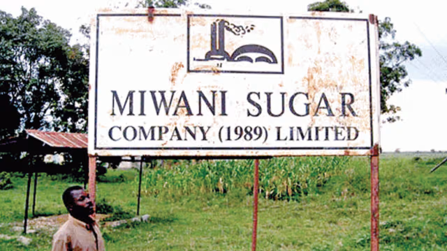 When a Typo Meets a Three-Year Silence